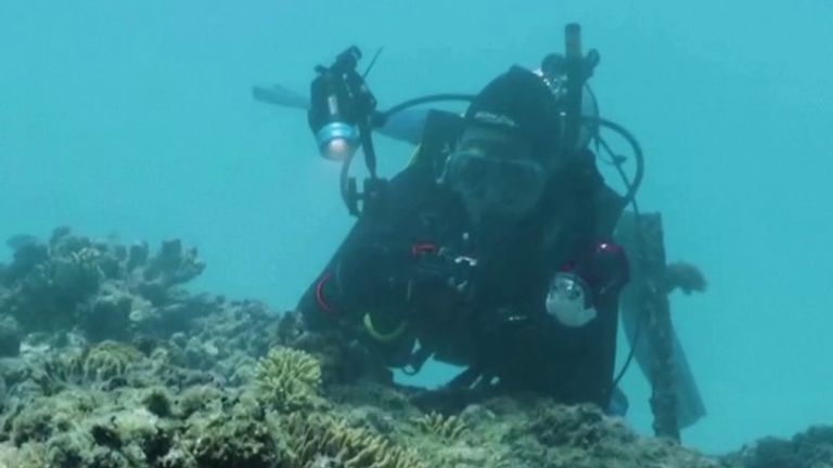 طلاب المملكة المتحدة ينشئون هياكل مرجانية مطبوعة ثلاثية الأبعاد يمكنها إعادة بناء الشعاب المرجانية المتضررة في العالم | أخبار المملكة المتحدة